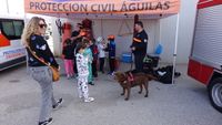 CUIDANDOTE 14