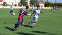 AGUILAS MINERVA 2
