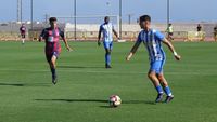 AGUILAS MINERVA 6