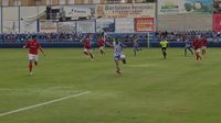 AGUILAS ESTEPONA 6