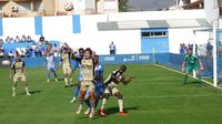 AGUILAS LINARES 8