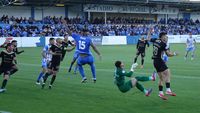 AGUILAS ORIHUELA 2