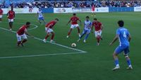 AGUILAS ESTEPONA 3_1