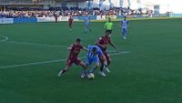 AGUILAS LINARES 2
