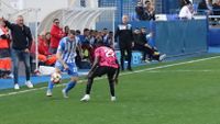 AGUILAS ESTEPONA 9