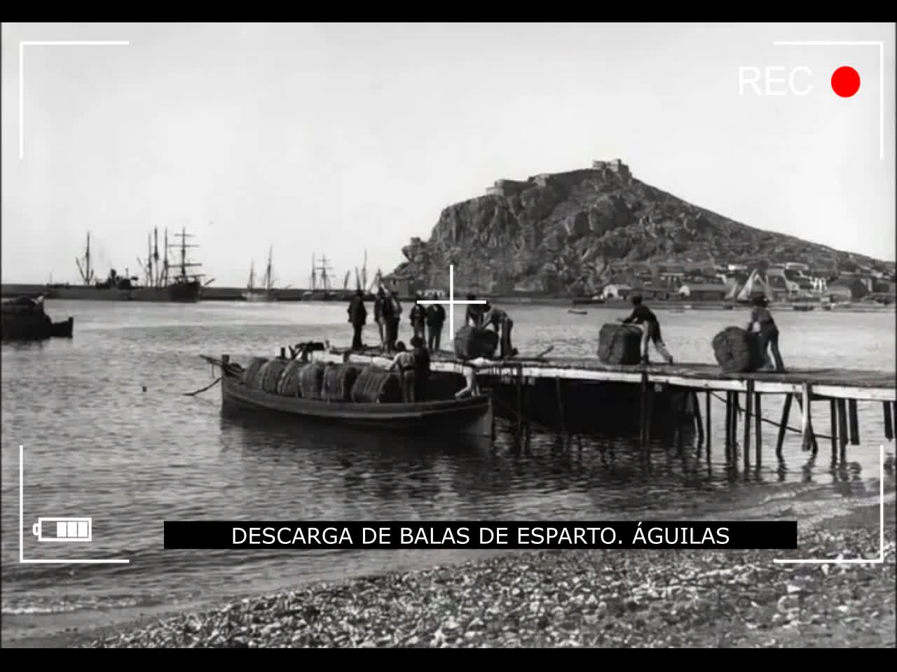 HISTORIA DE ÁGUILAS