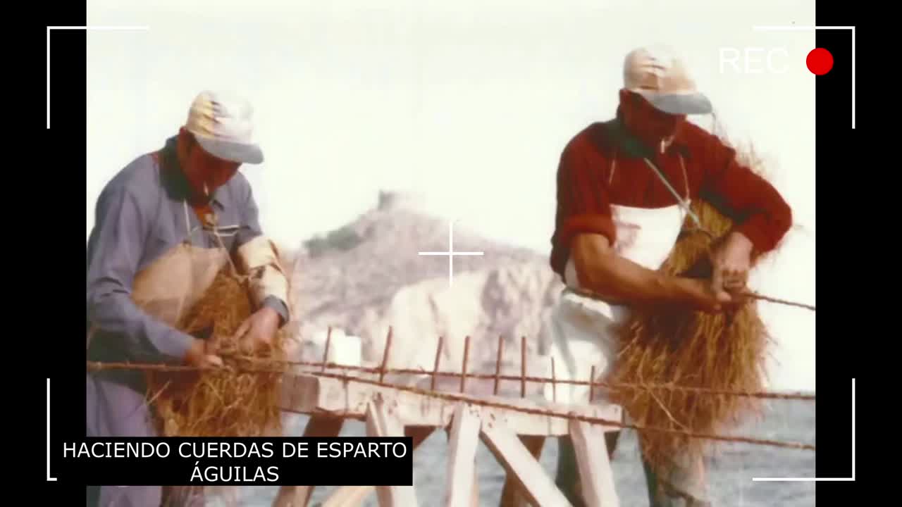 HISTORIA DE ÁGUILAS