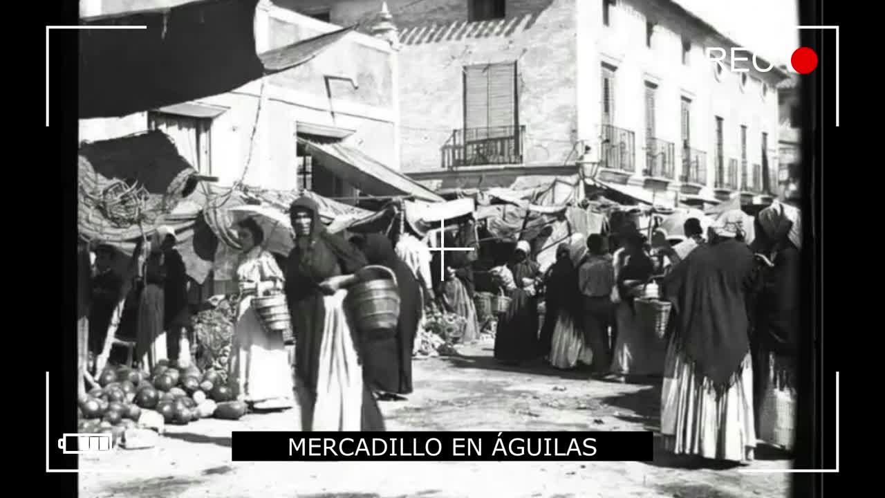 HISTORIA DE ÁGUILAS