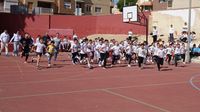 carrera solid san juan 2