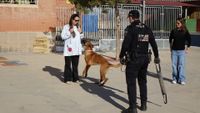 UNIDAD CANINA J TENDERO 10