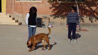 UNIDAD CANINA J TENDERO 8