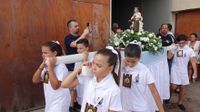 DIA DEL CARMEN 2026 2