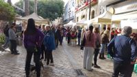 DIA DISCAPACIDAD 2025 12
