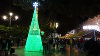 ENCENDIDO NAVIDAD 11