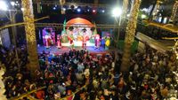 ENCENDIDO NAVIDAD 5