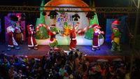 ENCENDIDO NAVIDAD 7