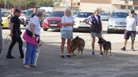 exhibicion canina aguiproan 12