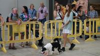 exhibicion canina aguiproan 2