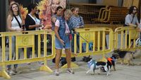 exhibicion canina aguiproan 3