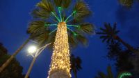 ILUMINACION NAVIDAD 7