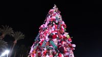 ENCENDIDO NAVIDAD 2024 11