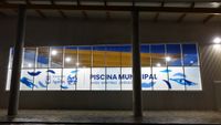 PISCINA APERTURA 25 6