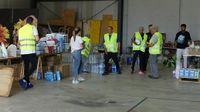 recogida material valencia 2024 12