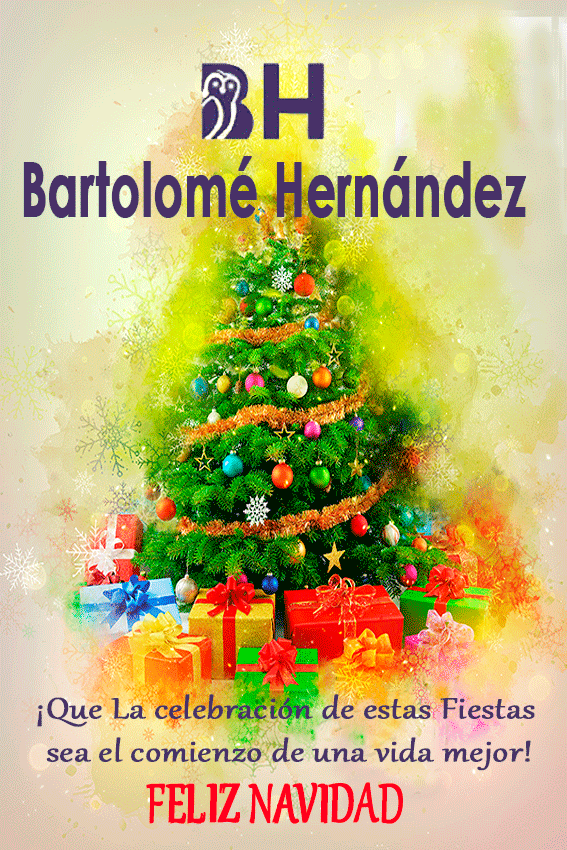 BARTOLOME-HERNADEZ-NAVIDAD
