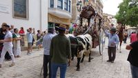 ROMERIA 23 01