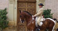 ROMERIA 23 15