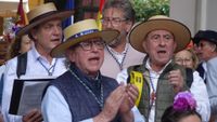 ROMERIA 14