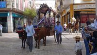 ROMERIA 10